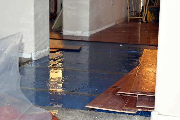 Professional Burst Pipe Cleanup technician working in Altura, MN
